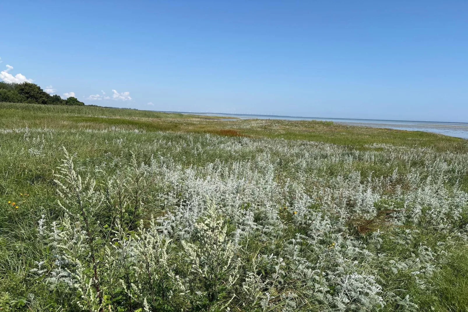 6 persoons vakantie huis in Ørsted-By Traum-Niet-getagd