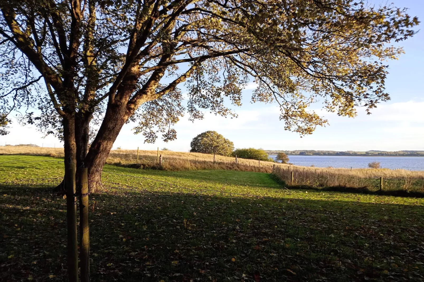 6 Personen vakantie huis in Grevinge-By Traum-Niet-getagd