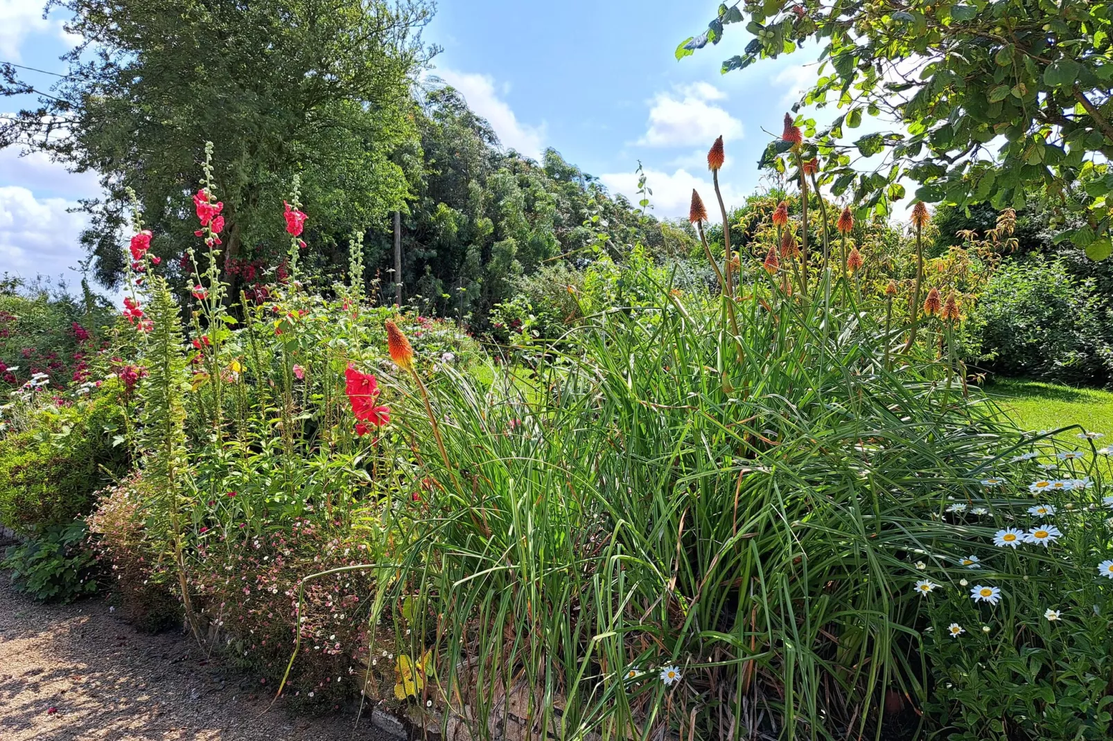 Ferienhaus in Sibiril-Tuinen zomer