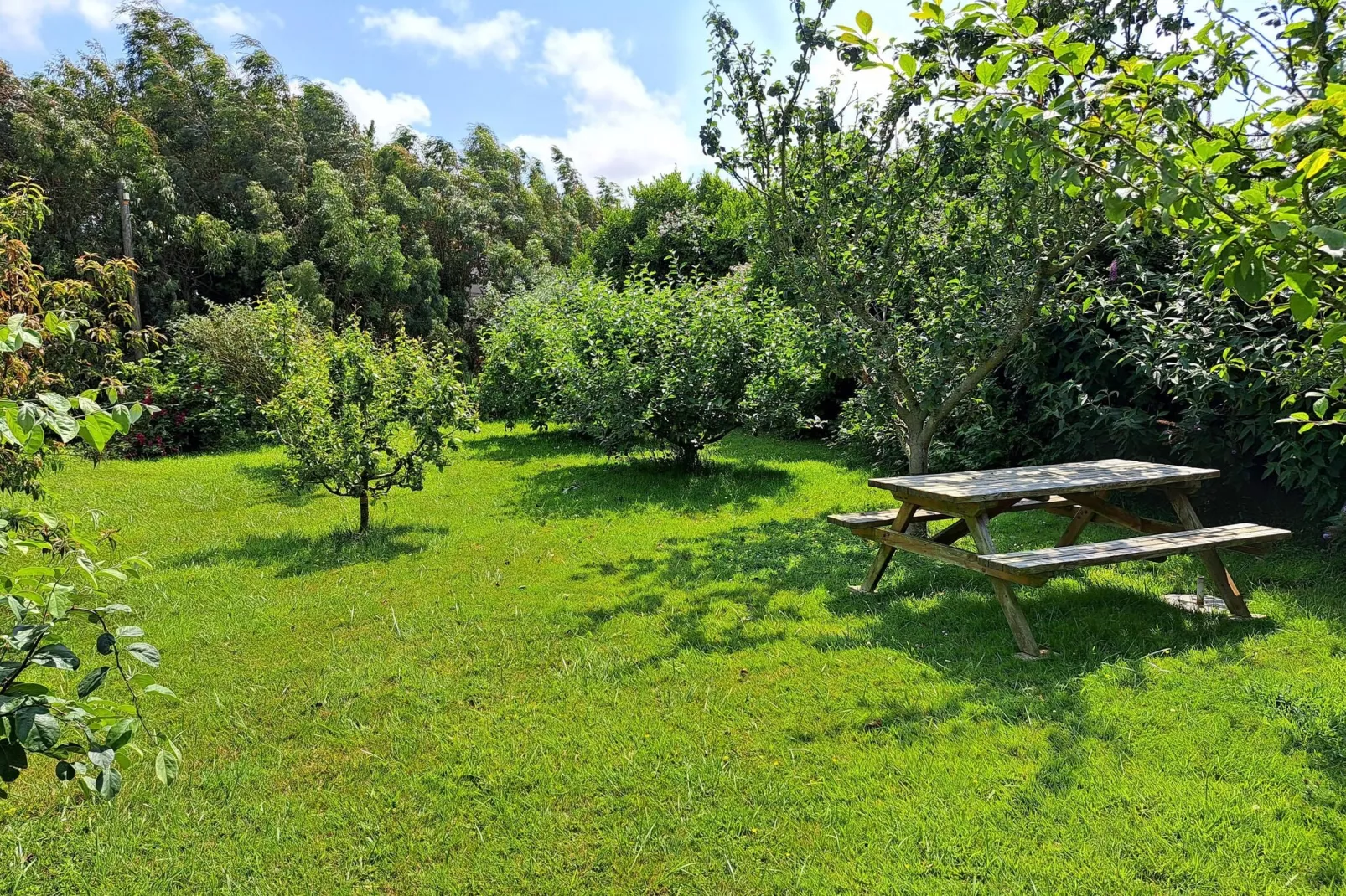 Ferienhaus in Sibiril-Tuinen zomer