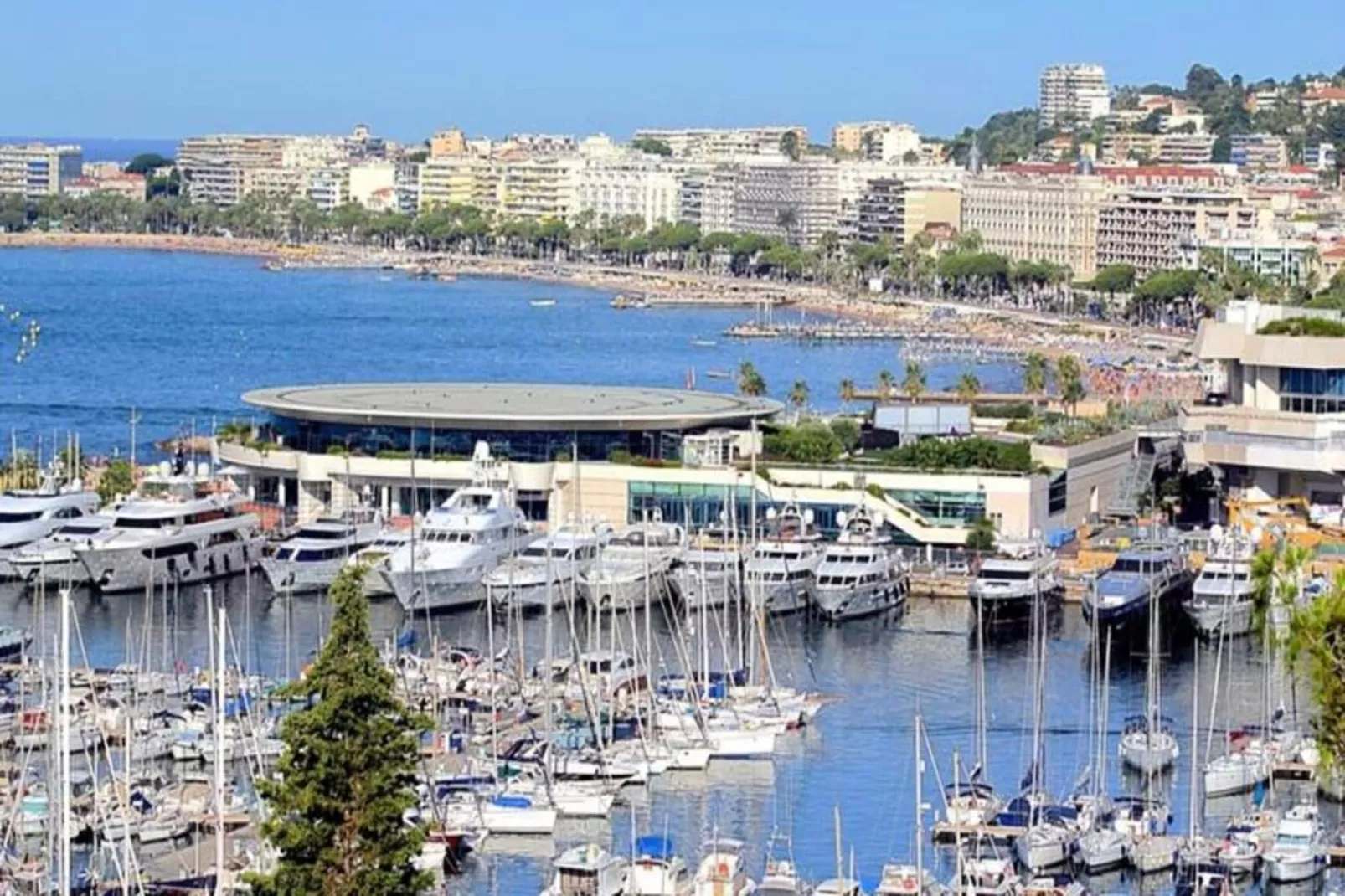 Palais & Croisette 1 Mn, 2 Pi&egrave;ces Spacieux Avec Balcon - Olam Properties