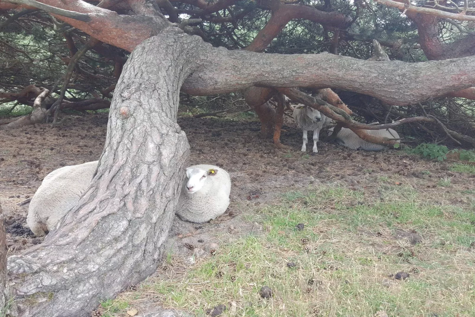 Sfeervol strandhuis -- By Traum Ferienwohnungen-Niet-getagd