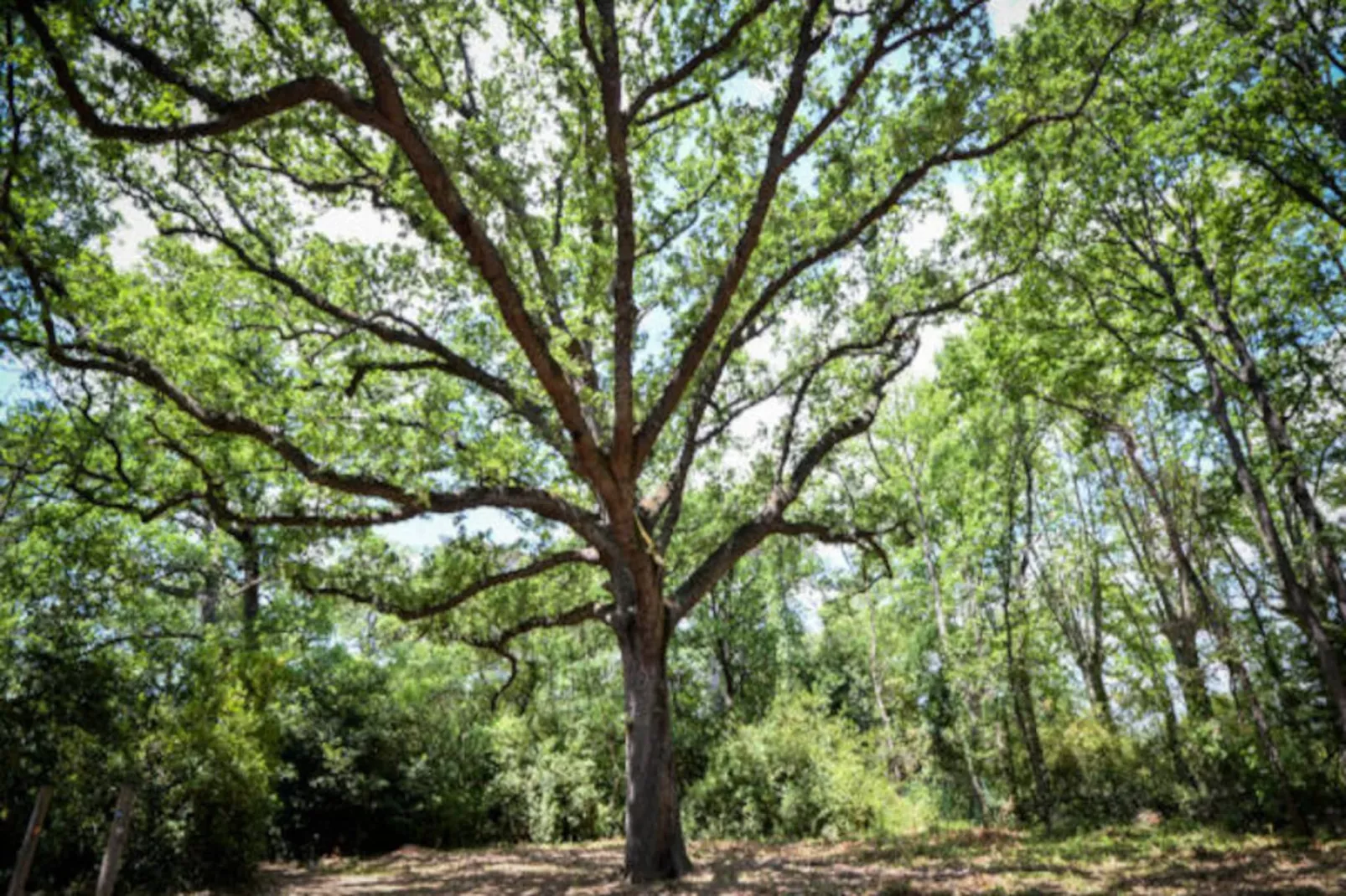 Résidence Le Château de Jouarres ***-Image-tags.
