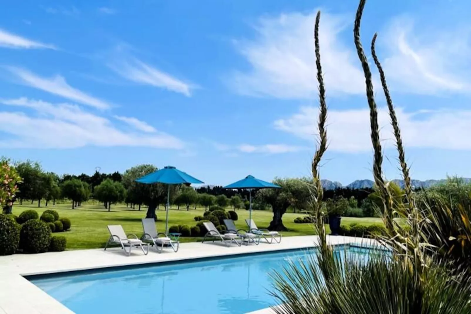 Mas De Pani&egrave;re - Saint Remy De Provence-Image-tags.