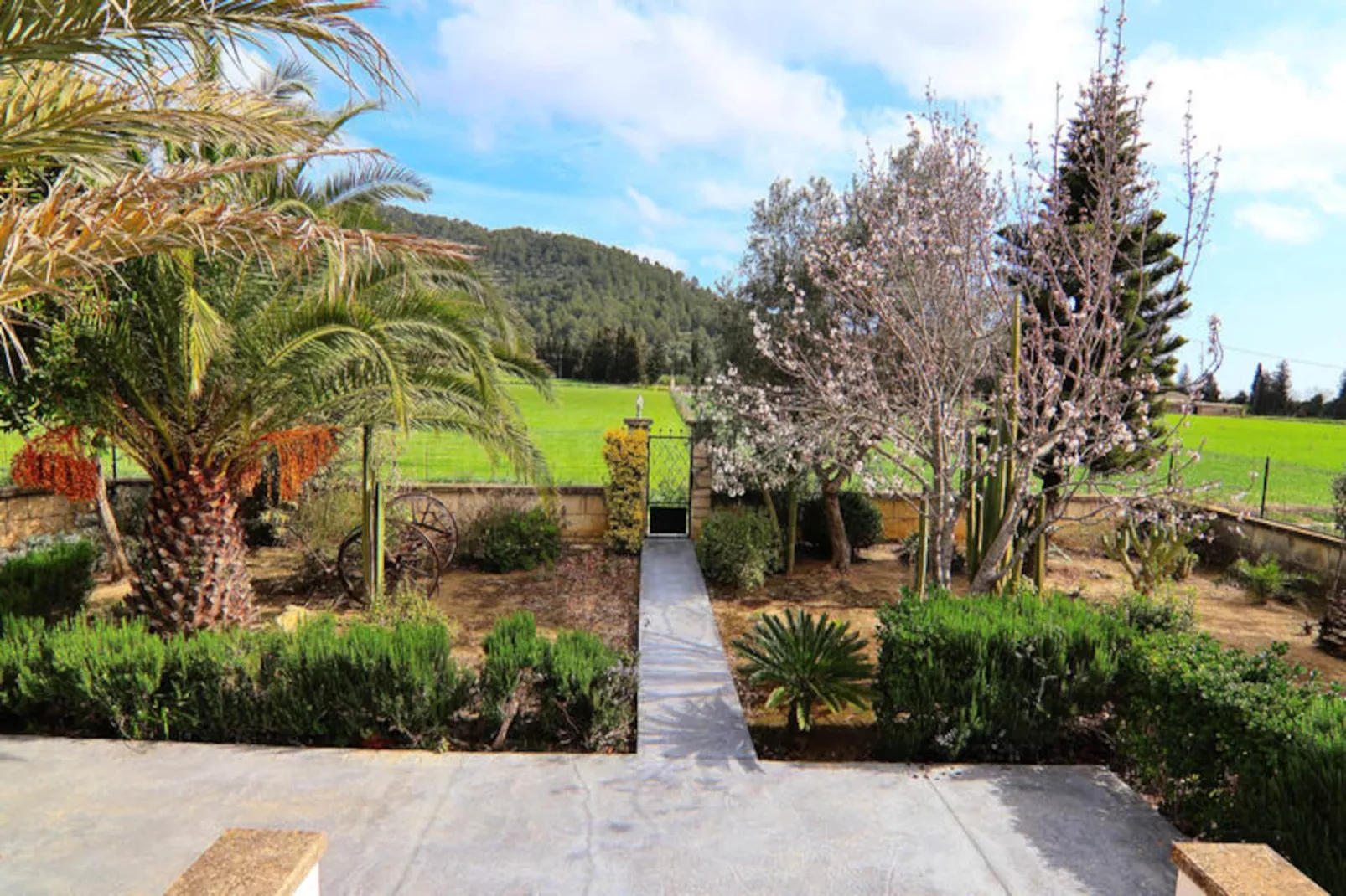 Maison à Sa Pobla-Image-tags.