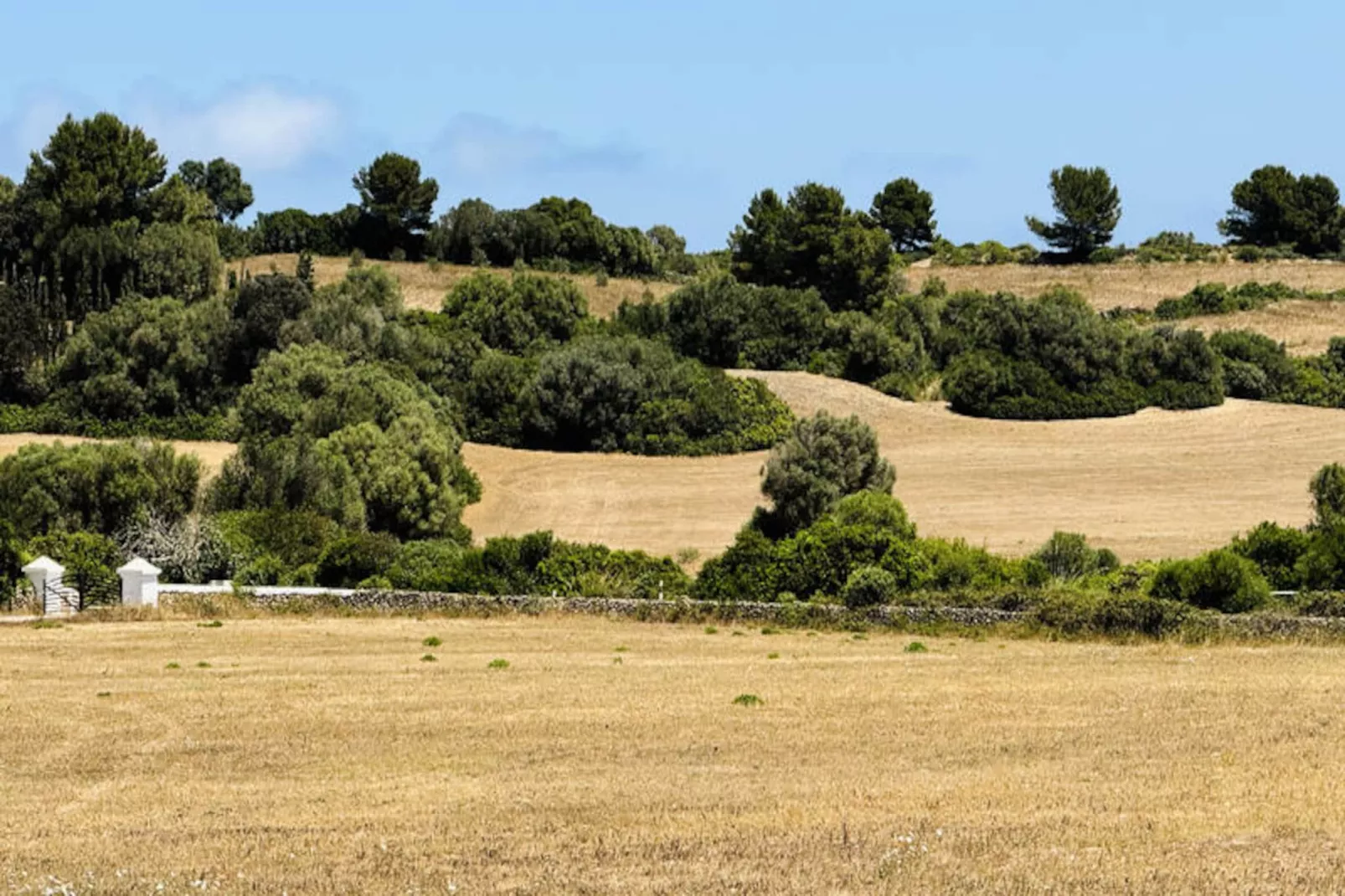 Maison à Mao-Image-tags.