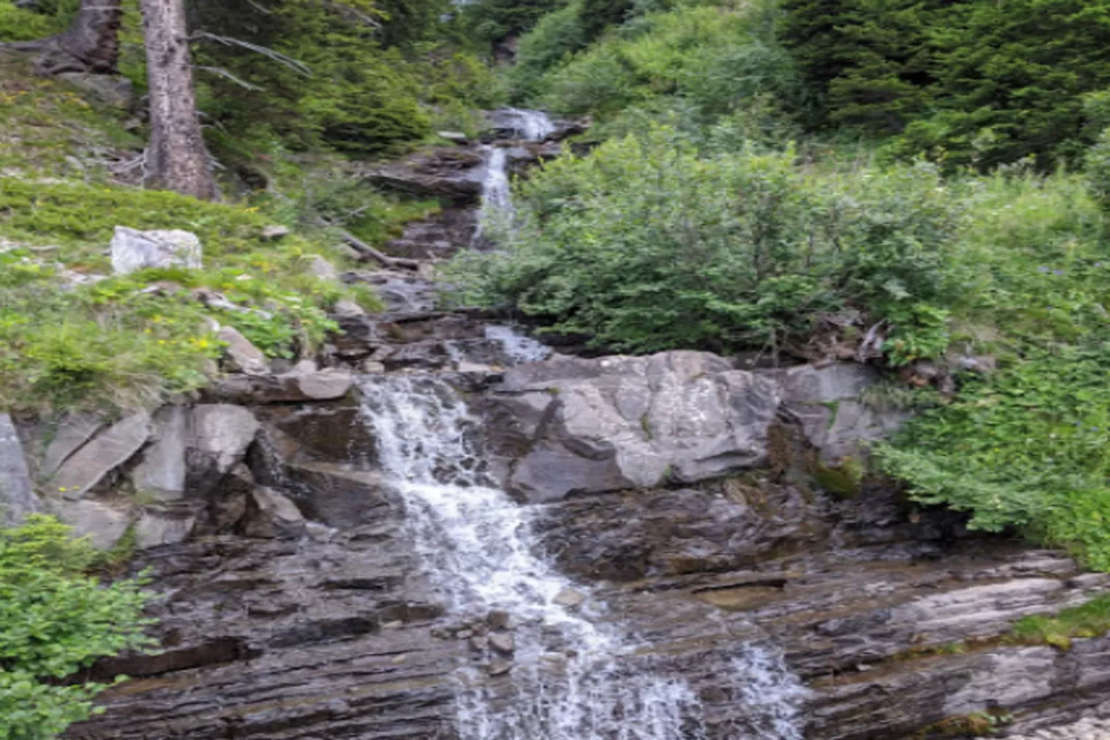 Résidence L'Albane - maeva Home - Buitenkant zomer