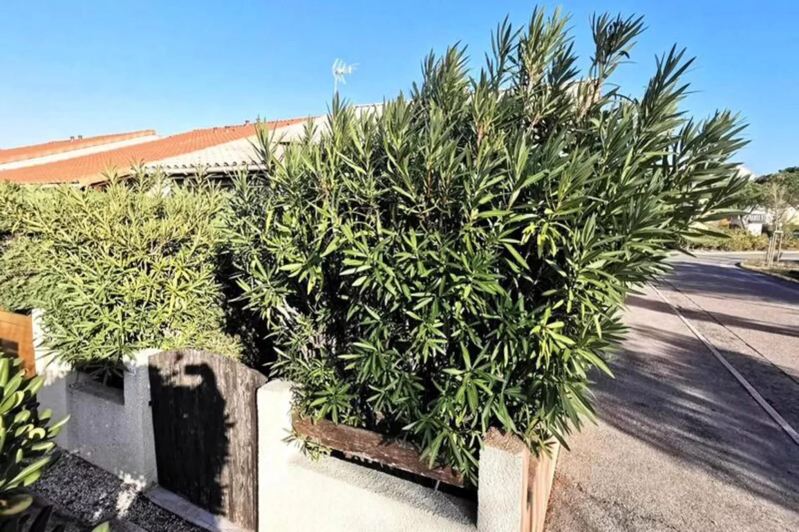Résidence Maisons De La Plage-Buitenkant zomer