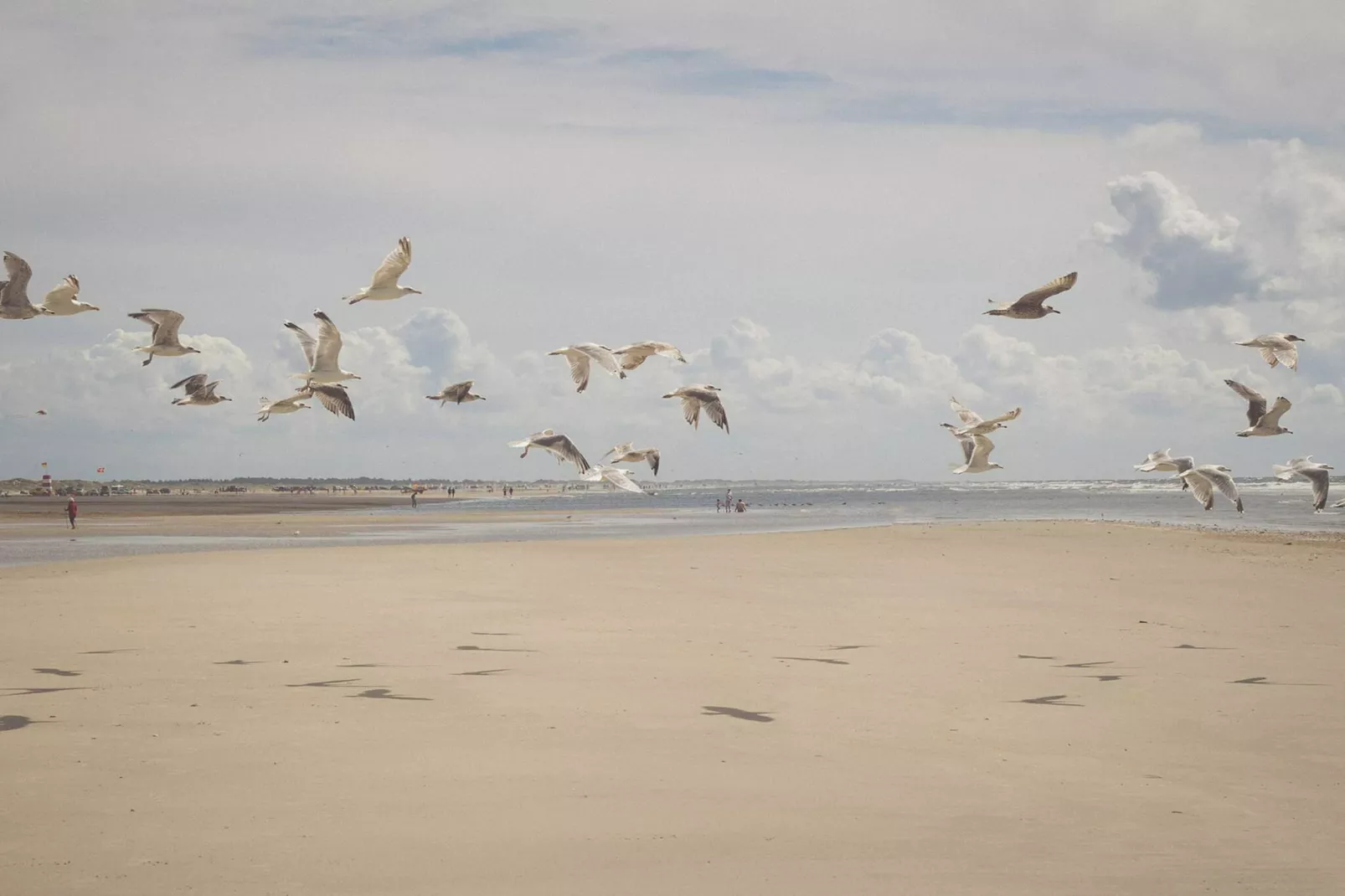 Gezellig Saunahuis met BBQ -- By Traum Ferienwohnungen-Waterzicht