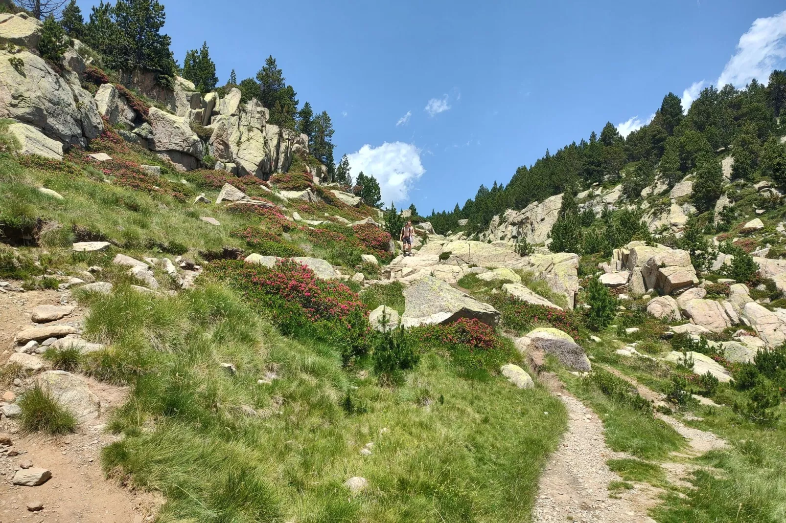 Chalet Panoramique-Gebieden zomer 20km