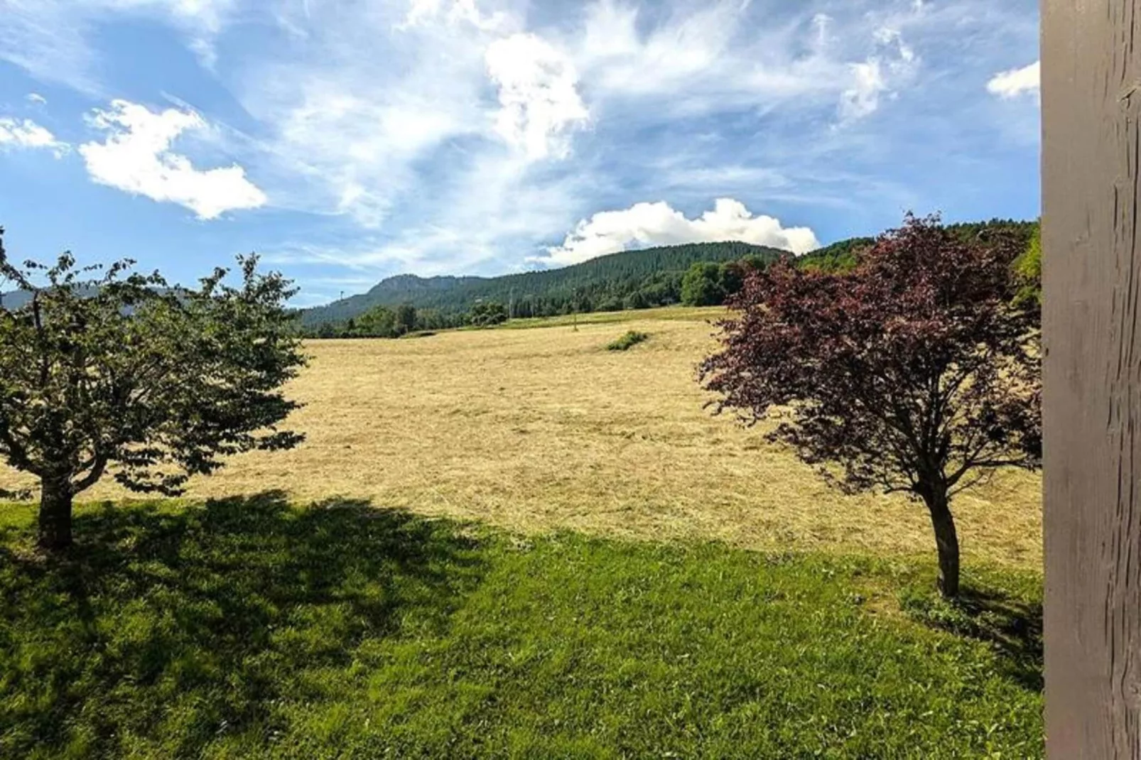Résidence Les Prés - Uitzicht zomer