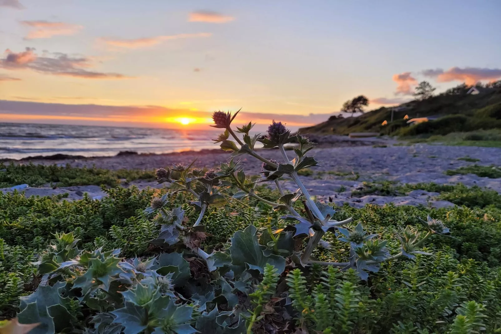 6 persoons vakantie huis in Slagelse-By Traum-Waterzicht