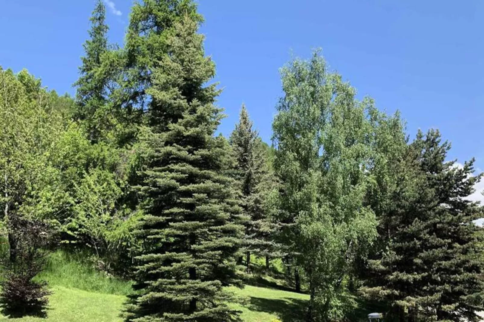 Résidence La Berangere-Image-tags.