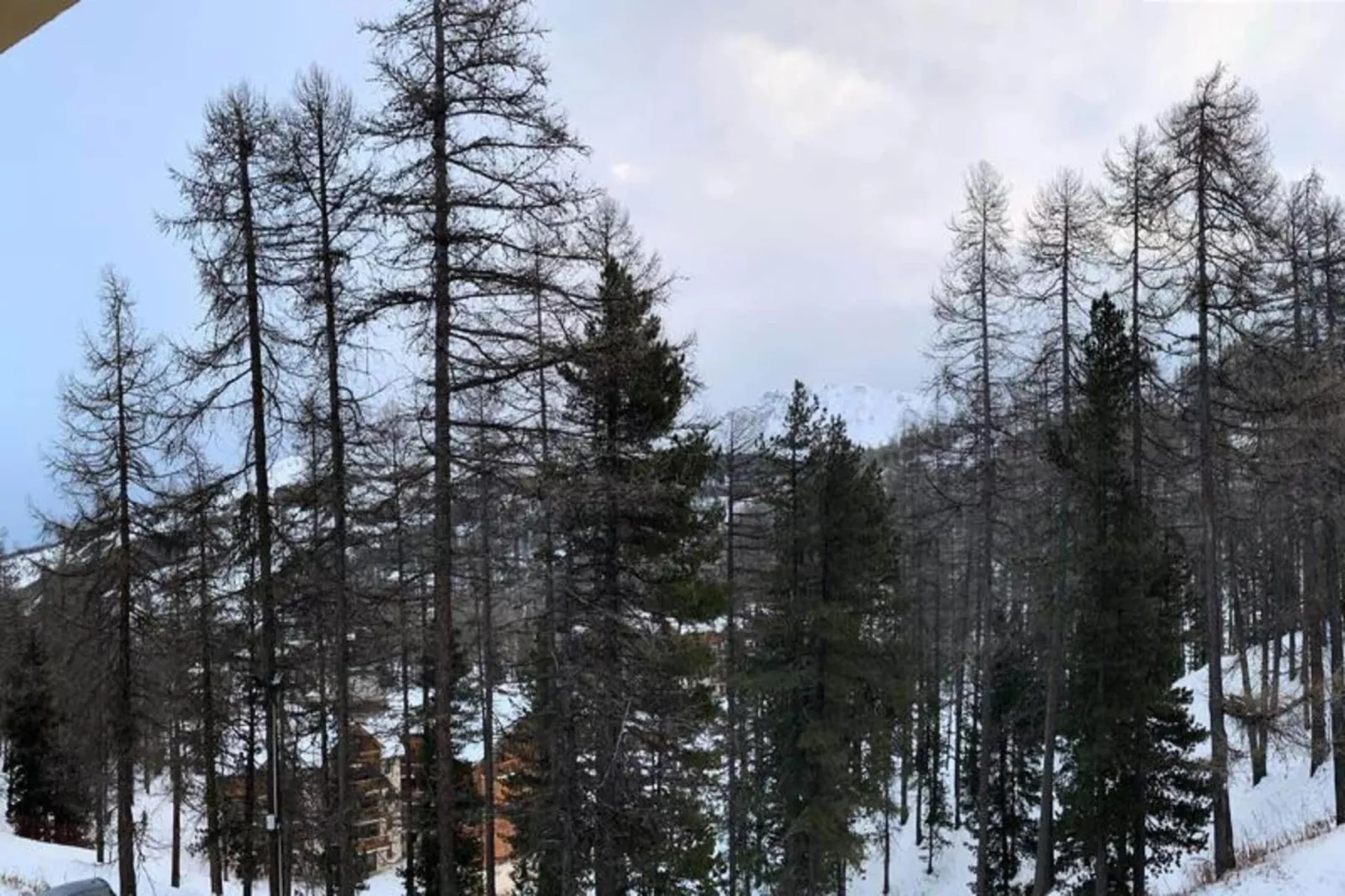 Résidence Pastourlet - Gebied winter 1km