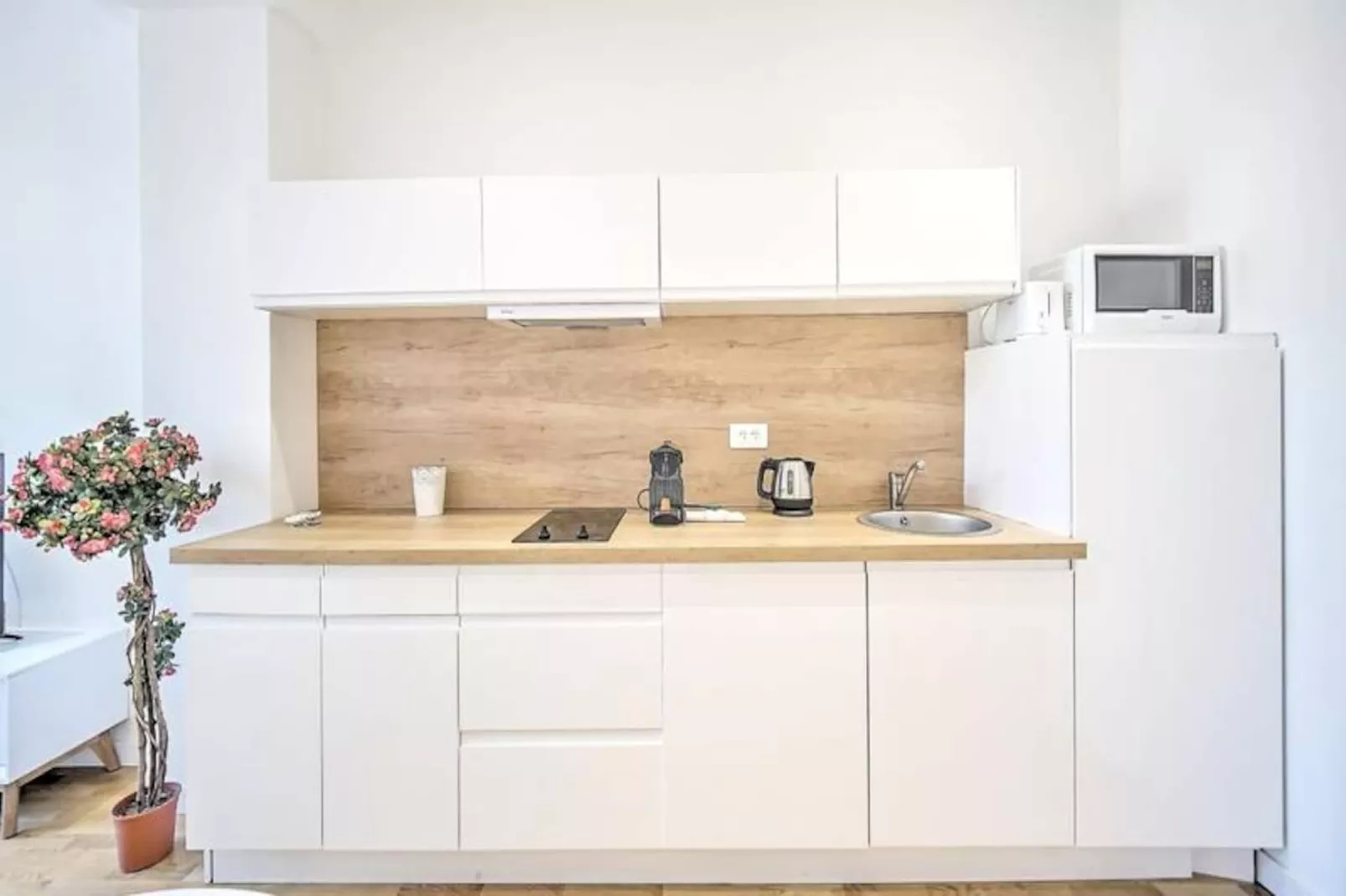 Cosy Studio Design Croisette 5 Mns, Cannes Coeur De Ville Olam Properties-Image-tags.