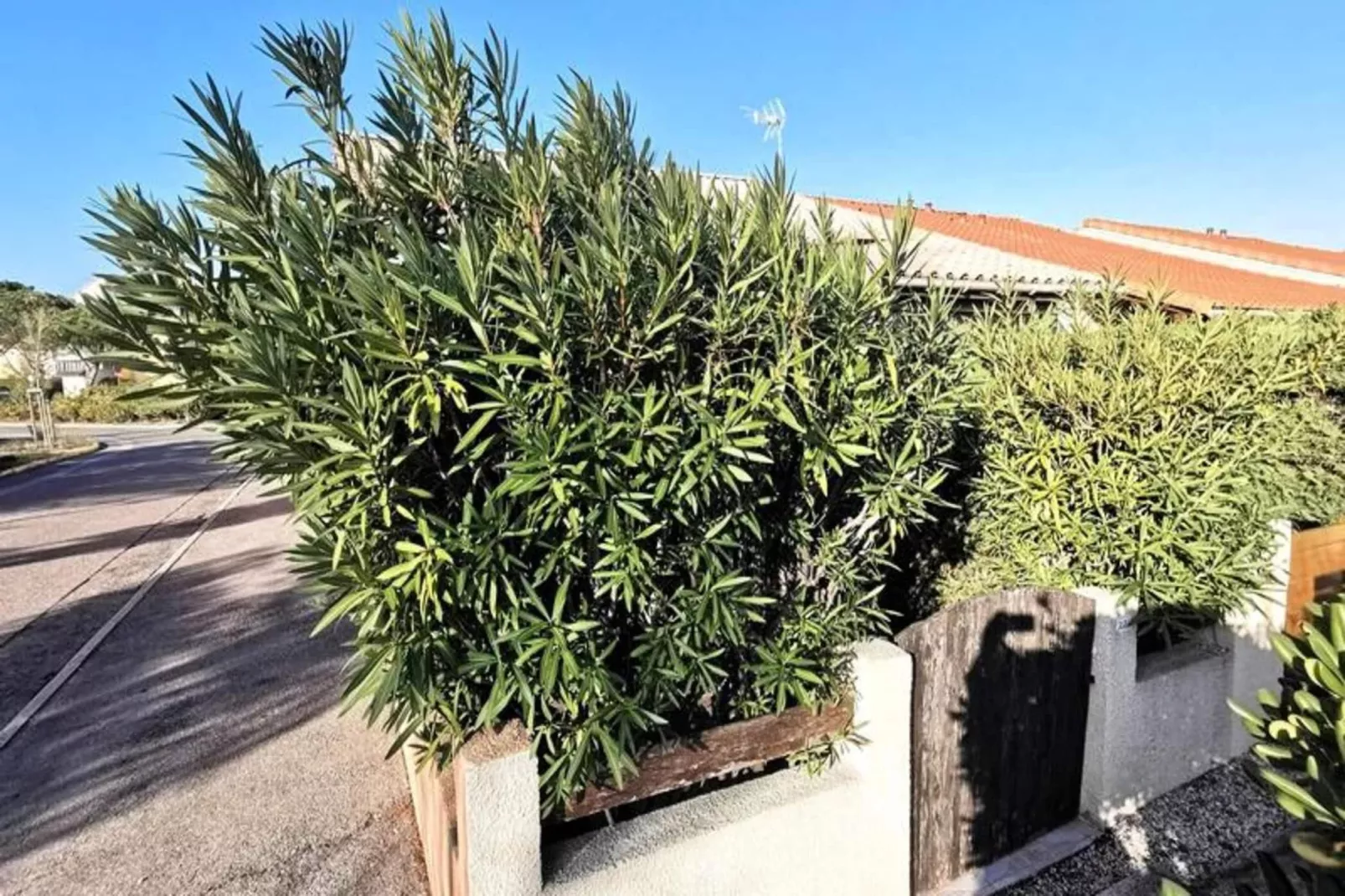 Résidence Maisons De La Plage-Buitenkant zomer