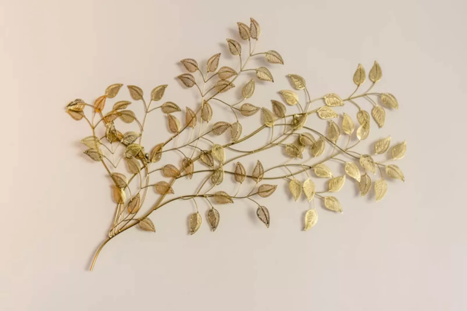 Appartements à Montpellier-Image-tags.