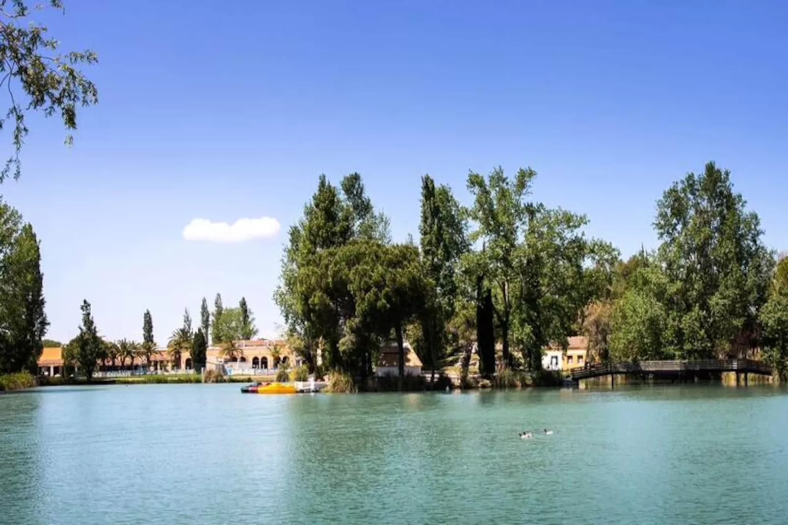 SOWELL HÔTELS L'Olivier****-Image-tags.