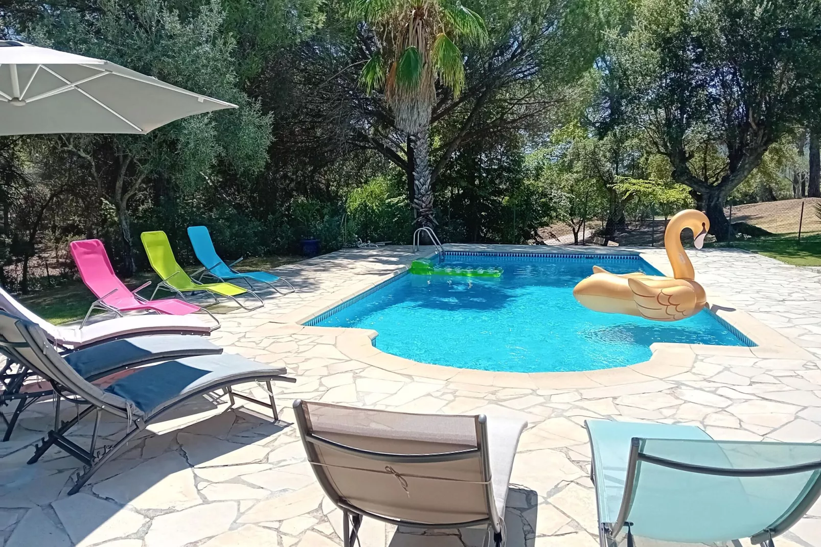 poolofhouse