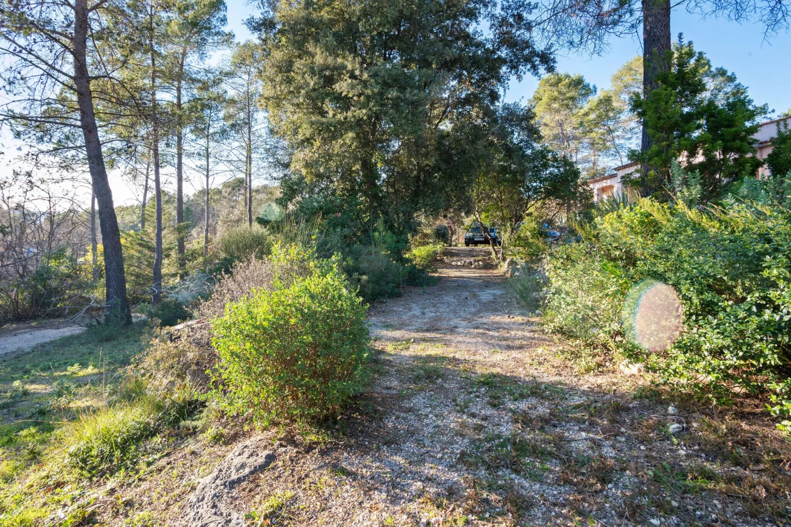 La Forestière-Gebieden zomer 1km