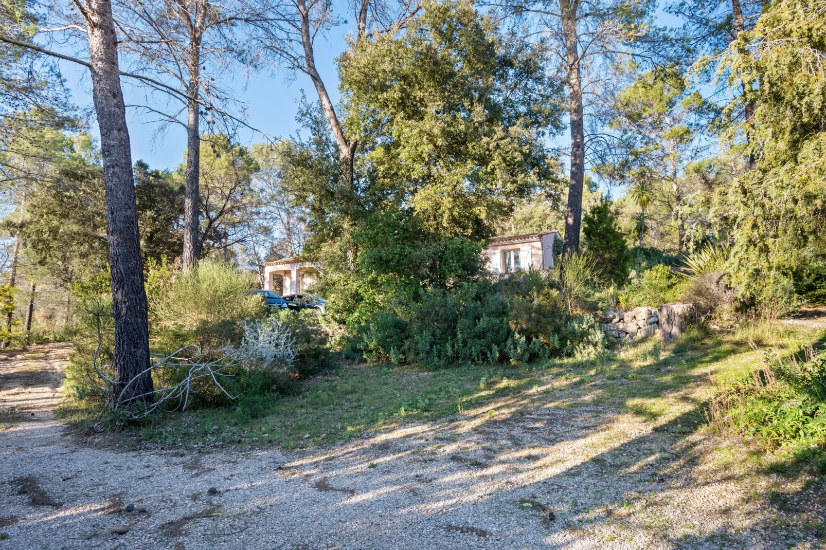 La Forestière-Gebieden zomer 1km