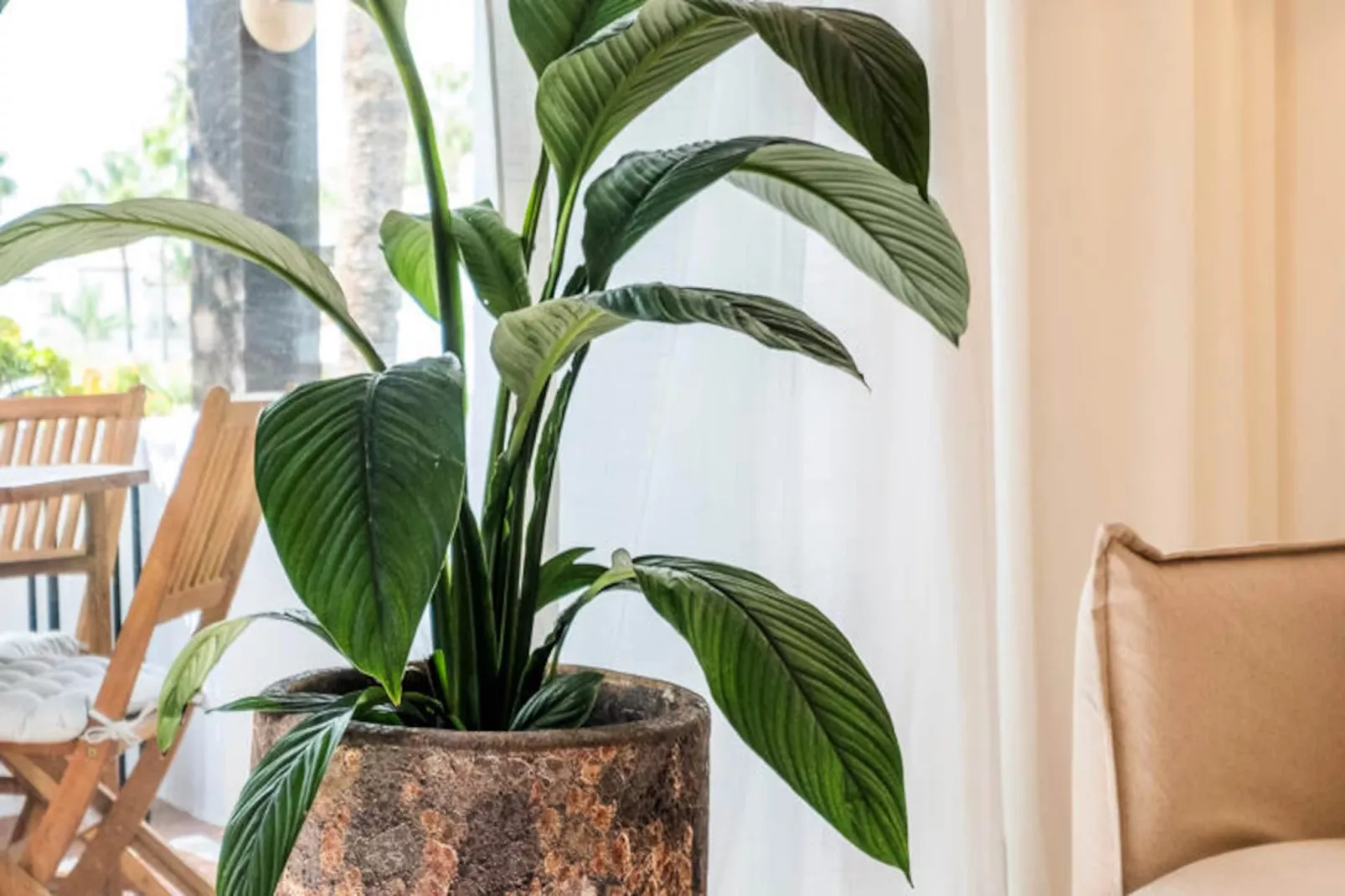 Appartements à Estepona-Image-tags.