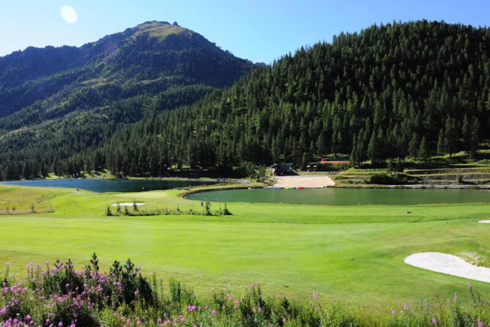 Chalet Les Sapins-Image-tags.