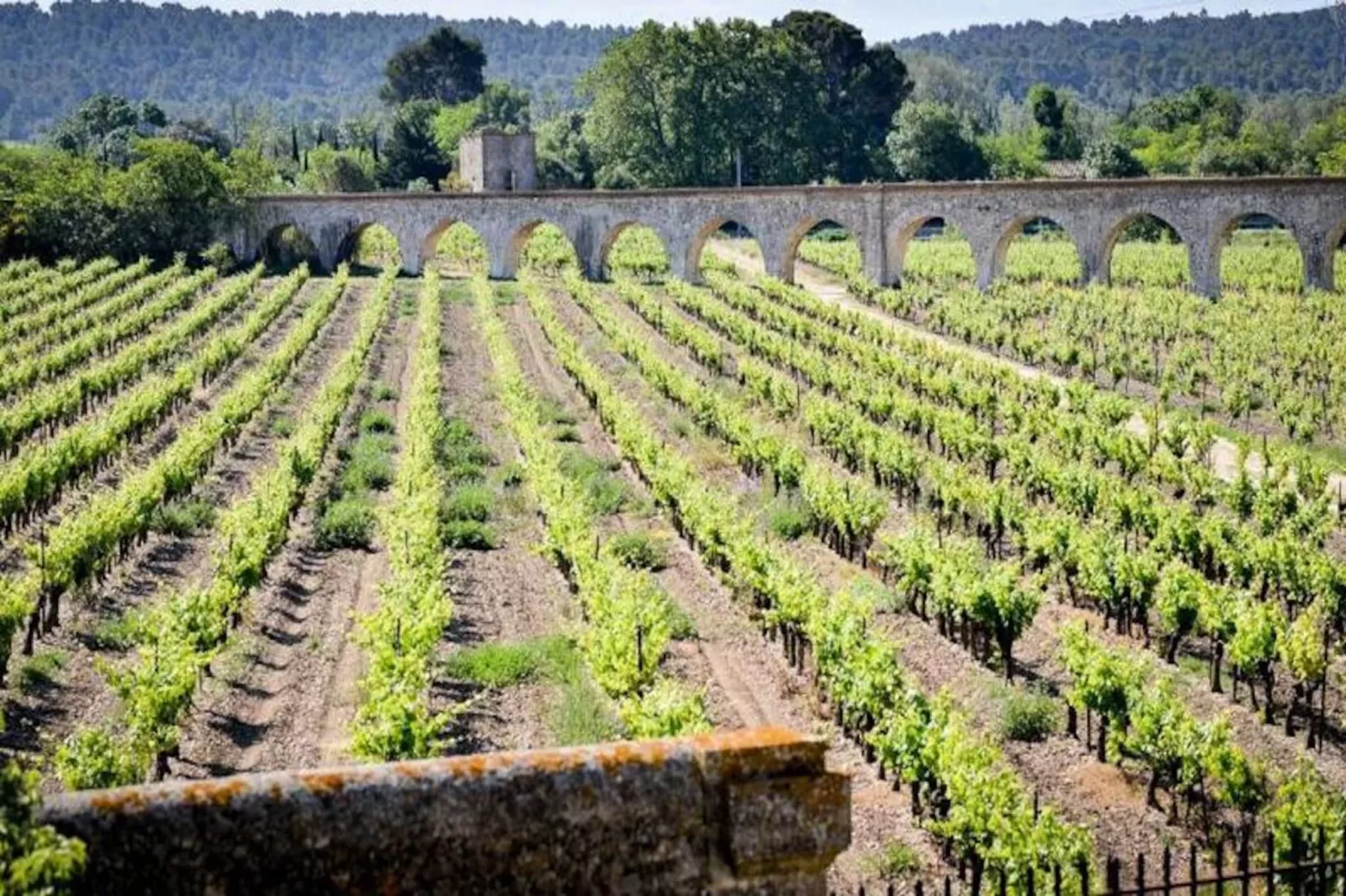 Résidence Le Château de Jouarres ***-Image-tags.