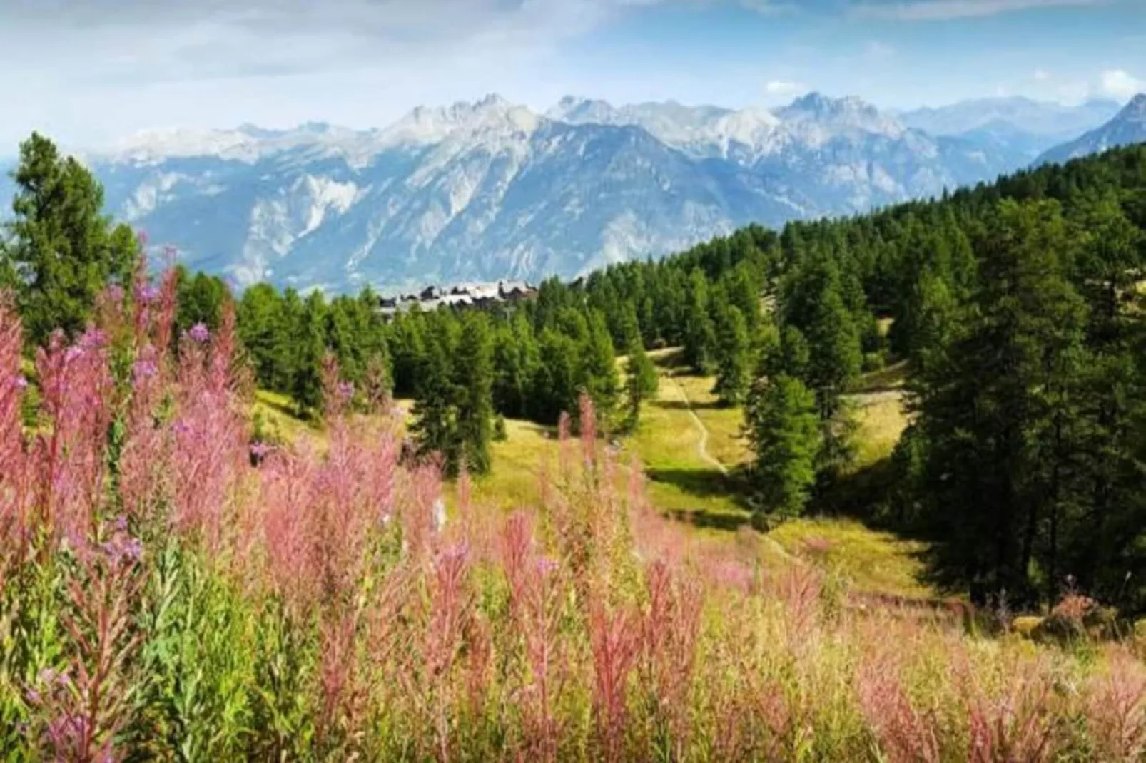 Résidence Colchiques - Uitzicht zomer