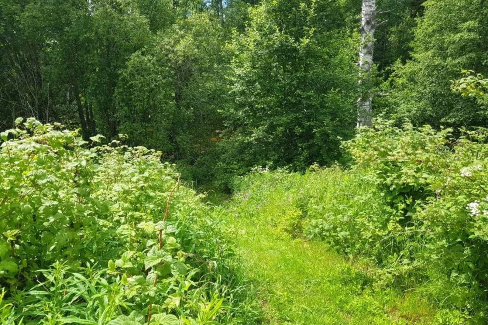 4 persoons vakantie huis in RAMSJÖ-By Traum-Niet-getagd