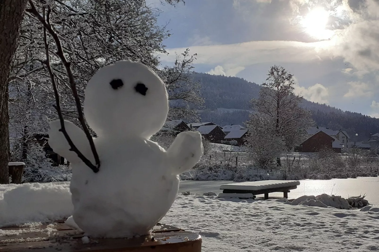 Hameau de l'Etang 1-Tuin winter