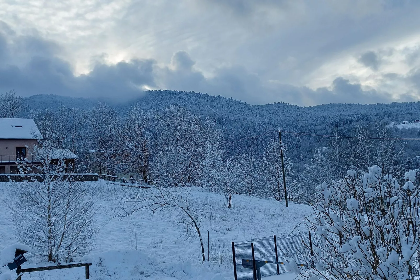 Chalet l'Aigle - Saint-Maurice-sur-Moselle-Uitzicht winter