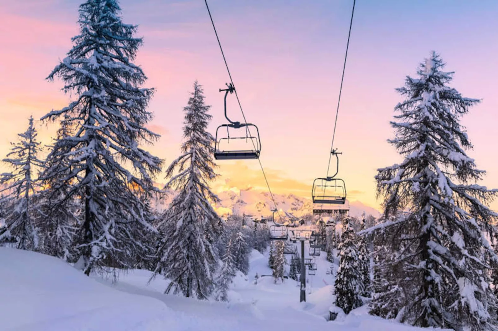 Chalet Carlines-Image-tags.