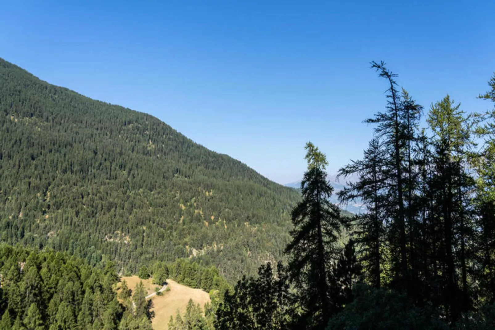 Résidence Le Belvedere - Uitzicht zomer