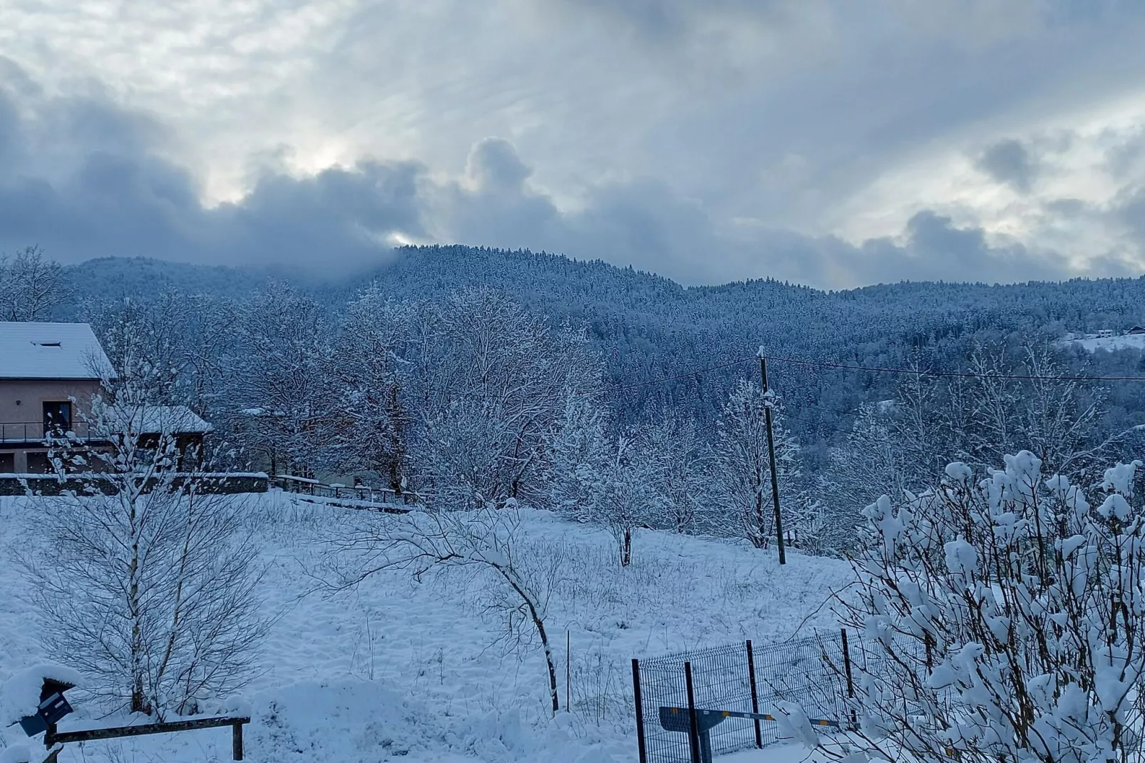 L'Aigle chalet ensemble - Saint-Maurice-sur-Moselle-Tuin winter