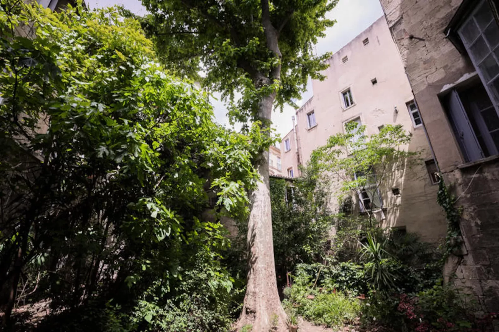 Appartements à Montpellier - Image-tags.