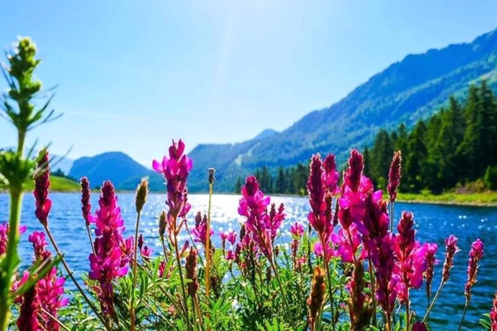 Résidence Alpet Ii-Image-tags.