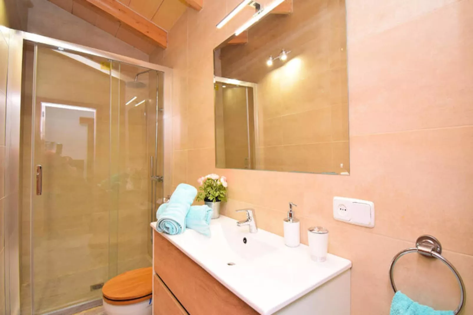 Maison à Santa Margalida-Image-tags.