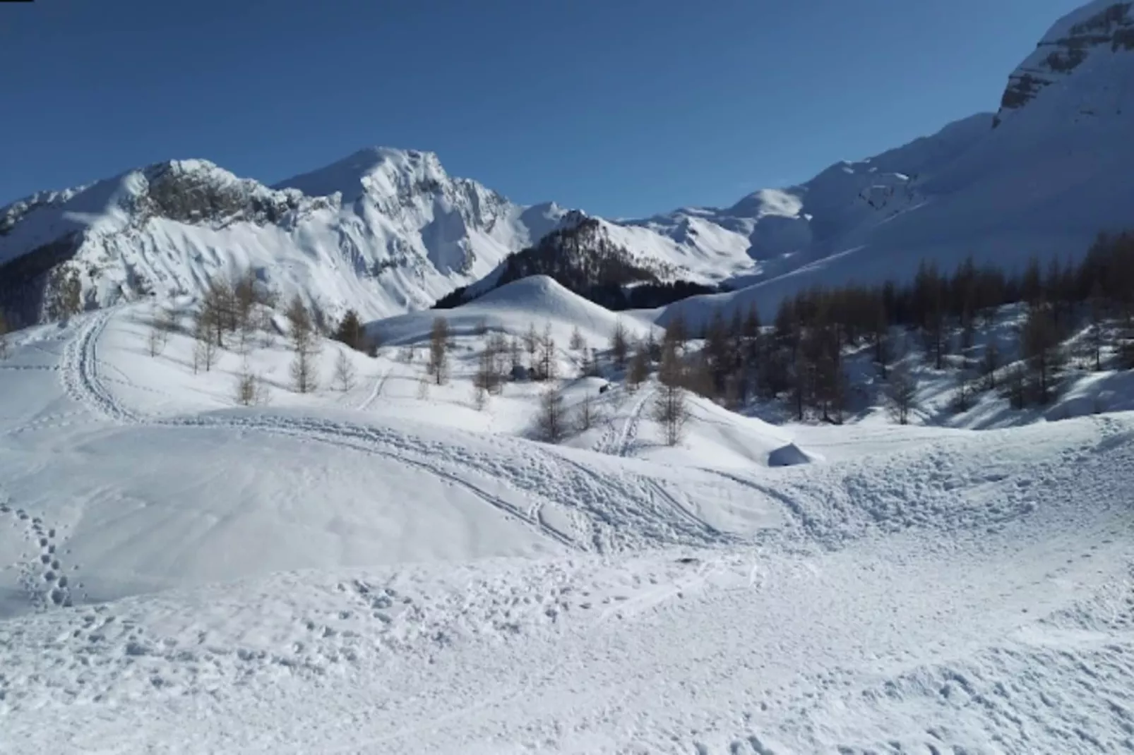 Résidence L'albane - Buitenkant zomer