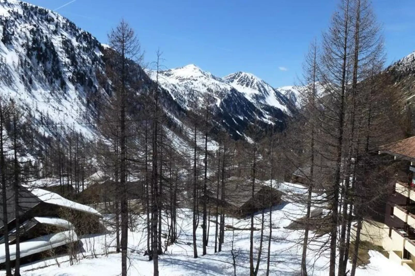 Résidence Génépi 301-Buitenkant zomer