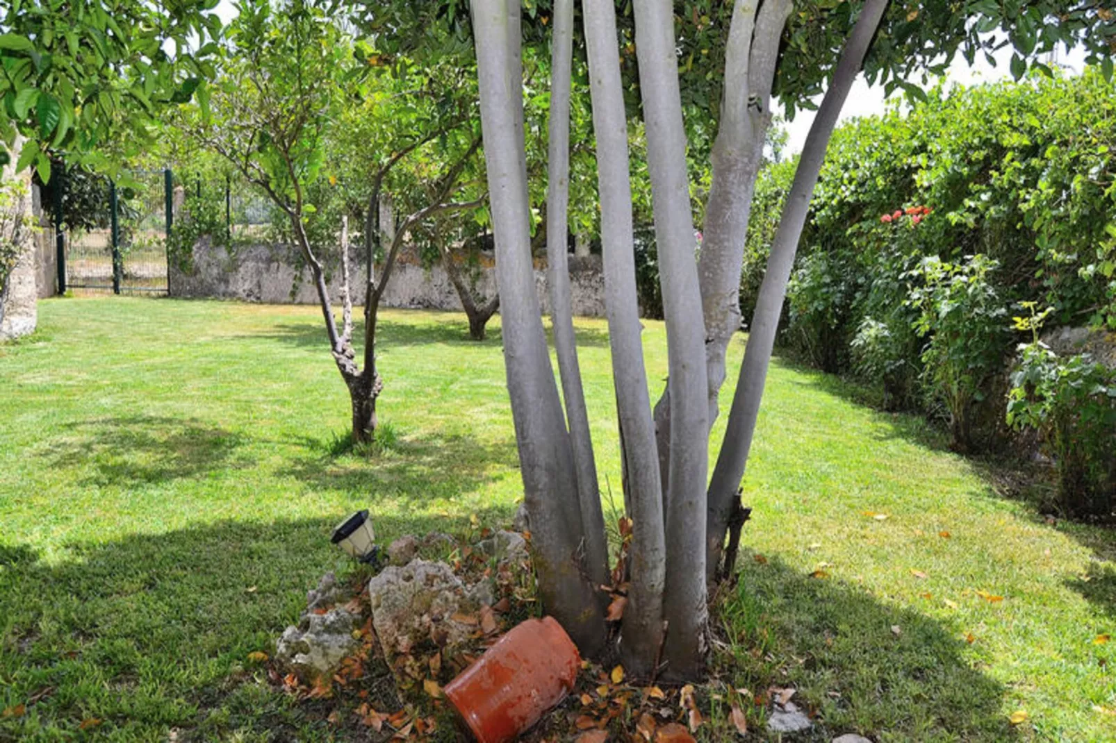 Maison à Lloret de vistalegre-Image-tags.