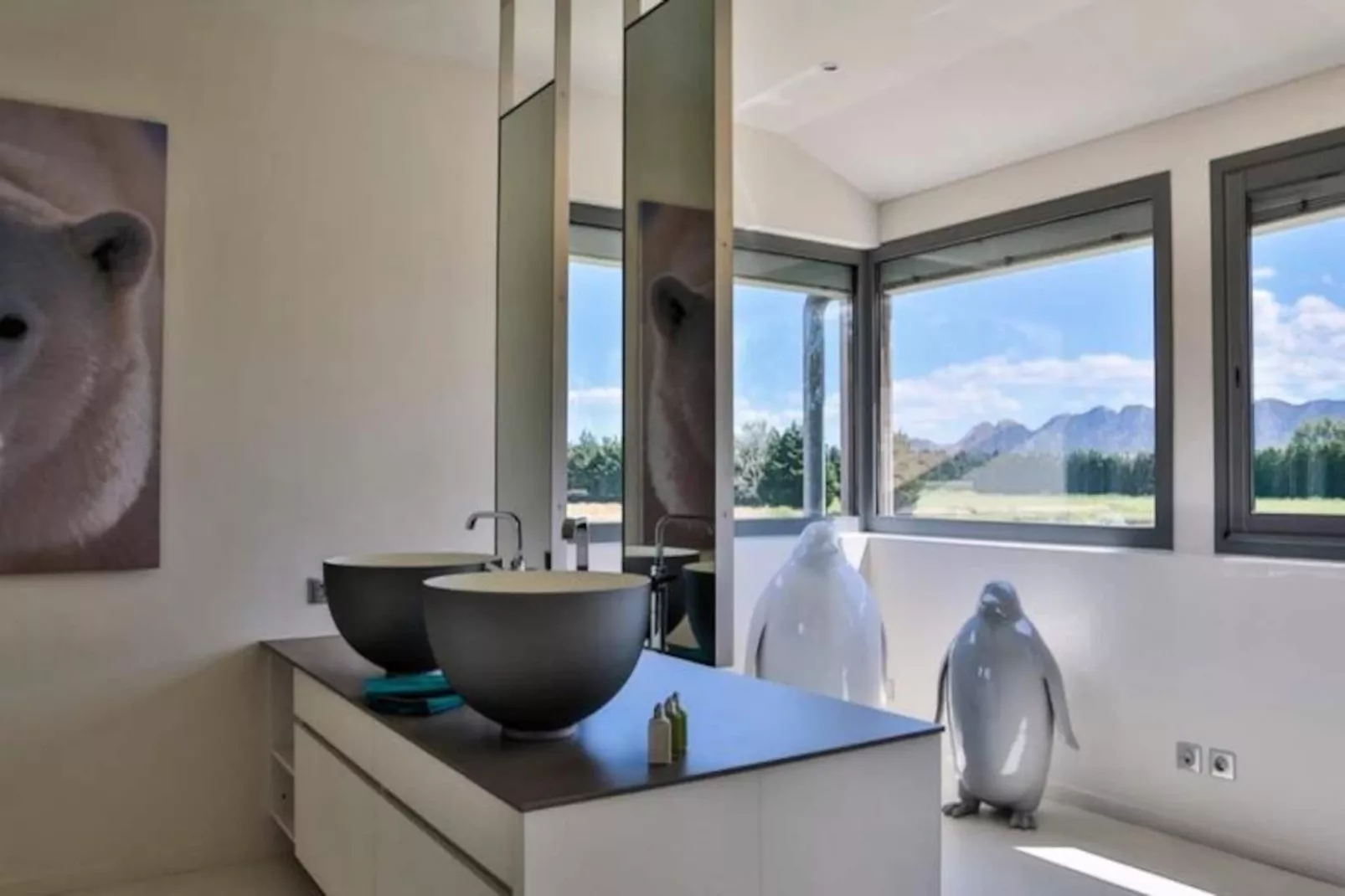 Mas De Pani&egrave;re - Saint Remy De Provence-Image-tags.