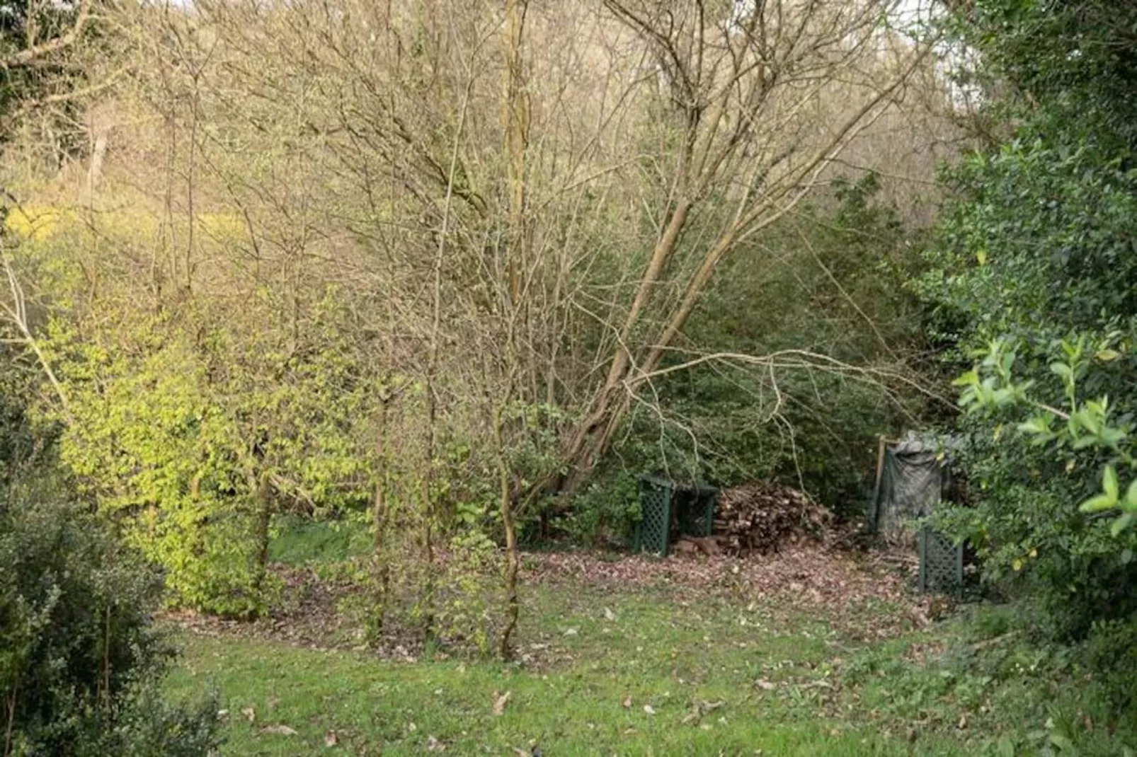 Maison à Plougrescant-Image-tags.