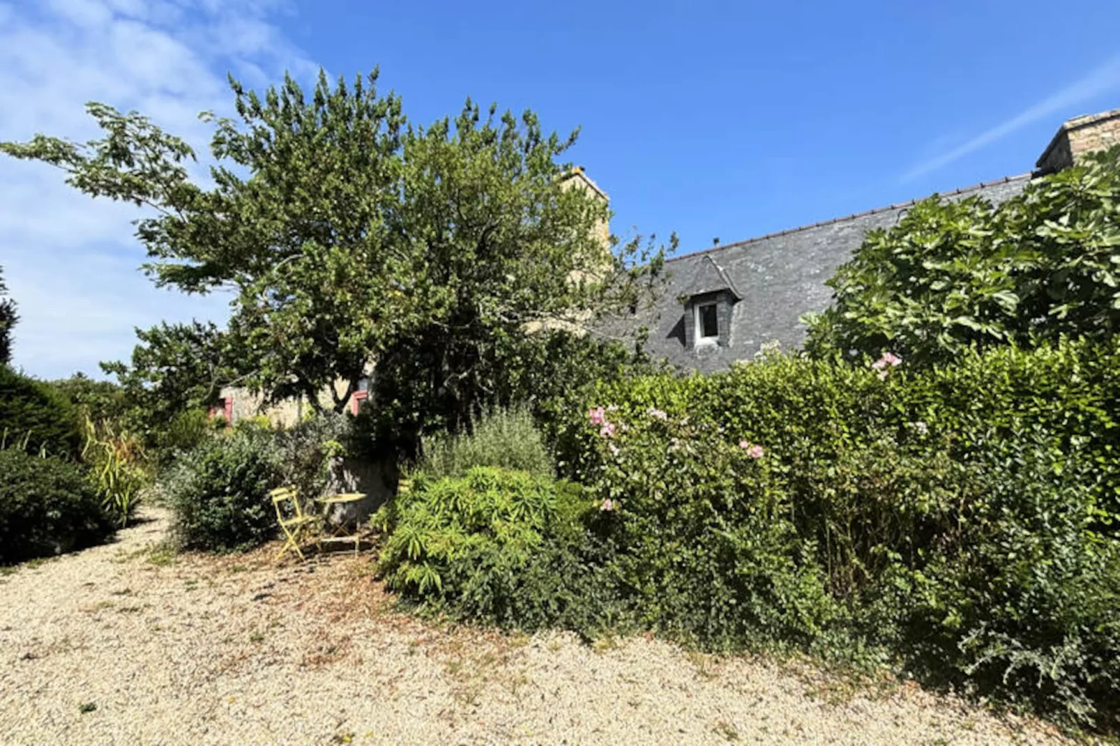 Maison à Plougrescant-Image-tags.