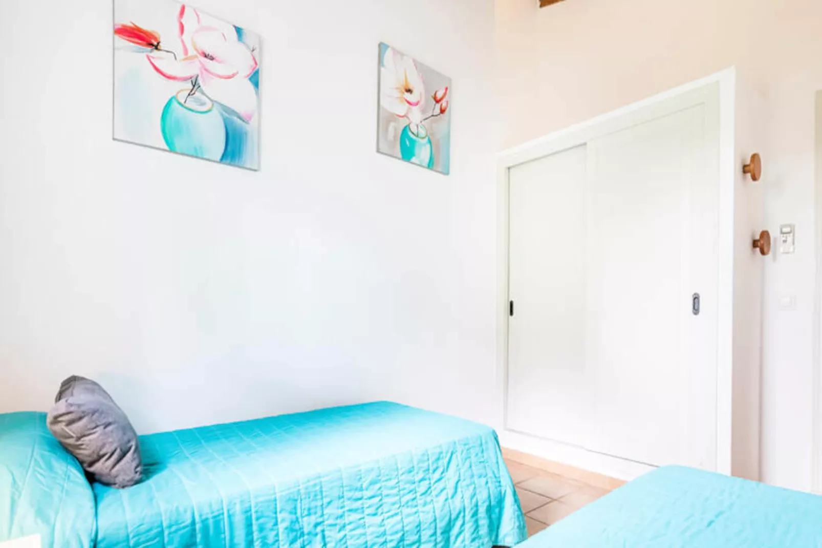 Maison à Son Bou-Image-tags.