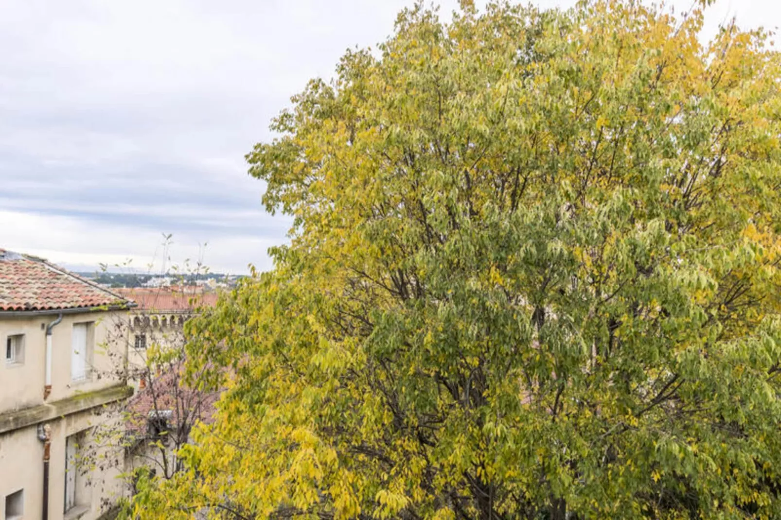 Appartements à Montpellier-Uitzicht zomer