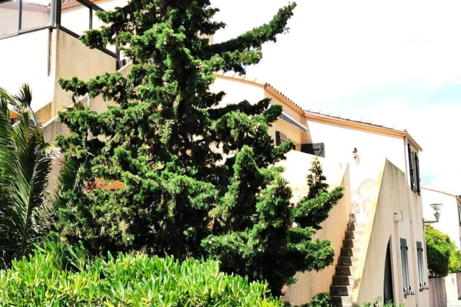 Résidence Equateur-Uitzicht zomer