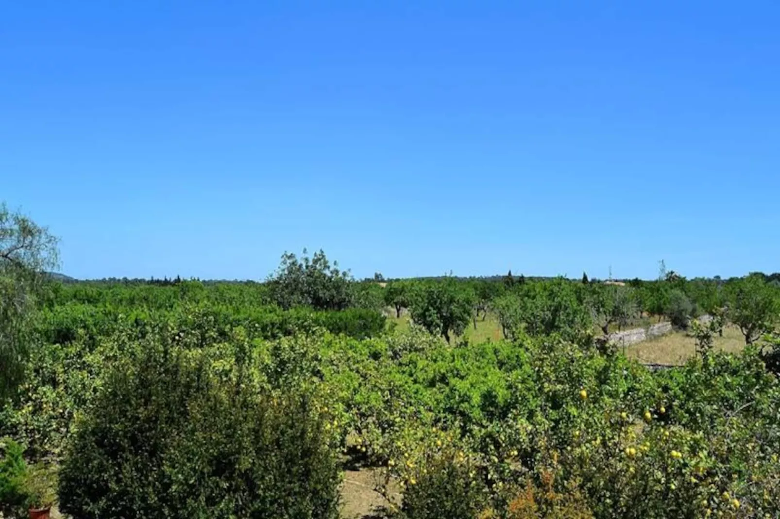 Maison à Sineu-Image-tags.