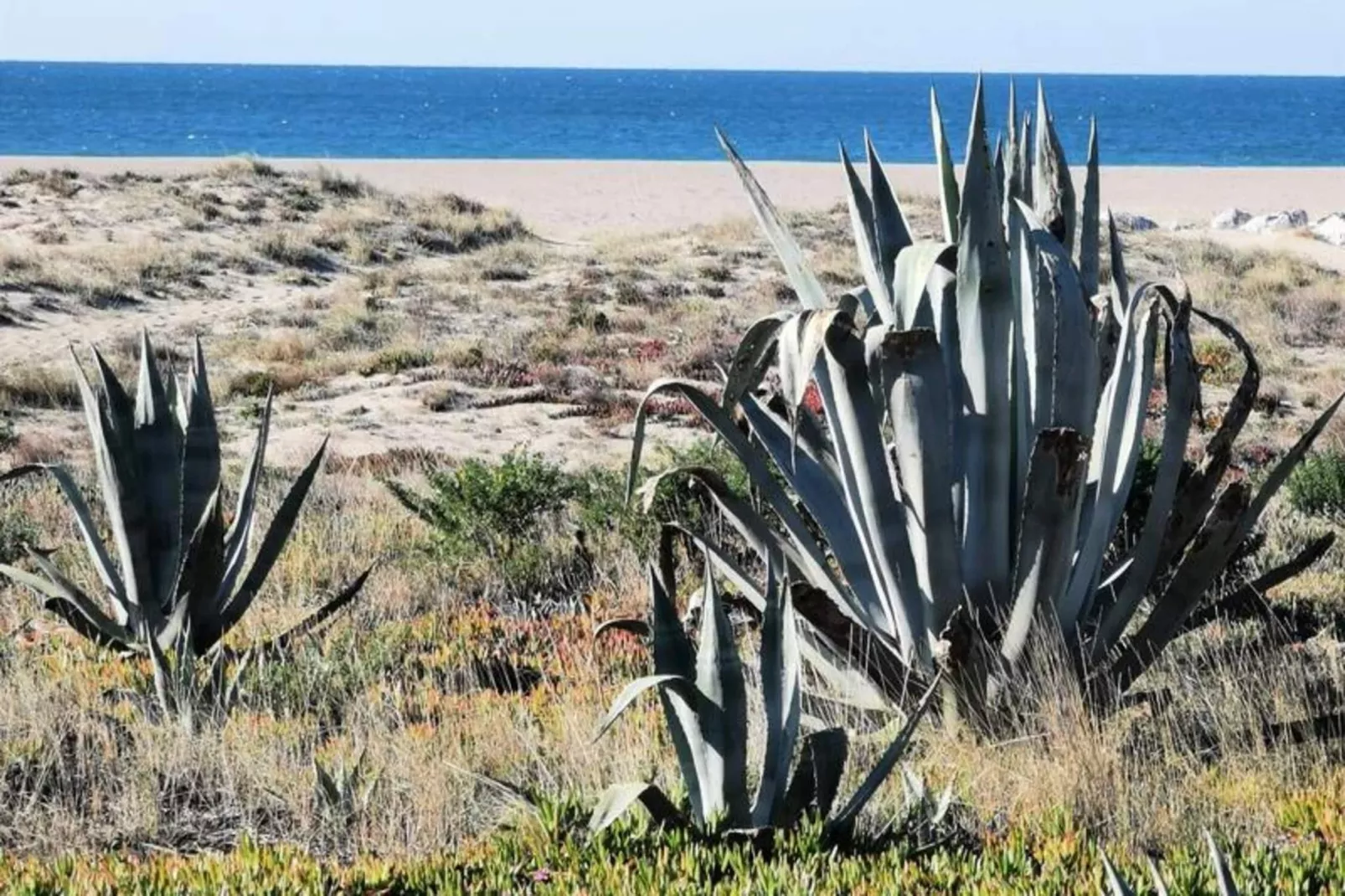 Résidence Maisons De La Mer 2-Gebieden zomer 20km