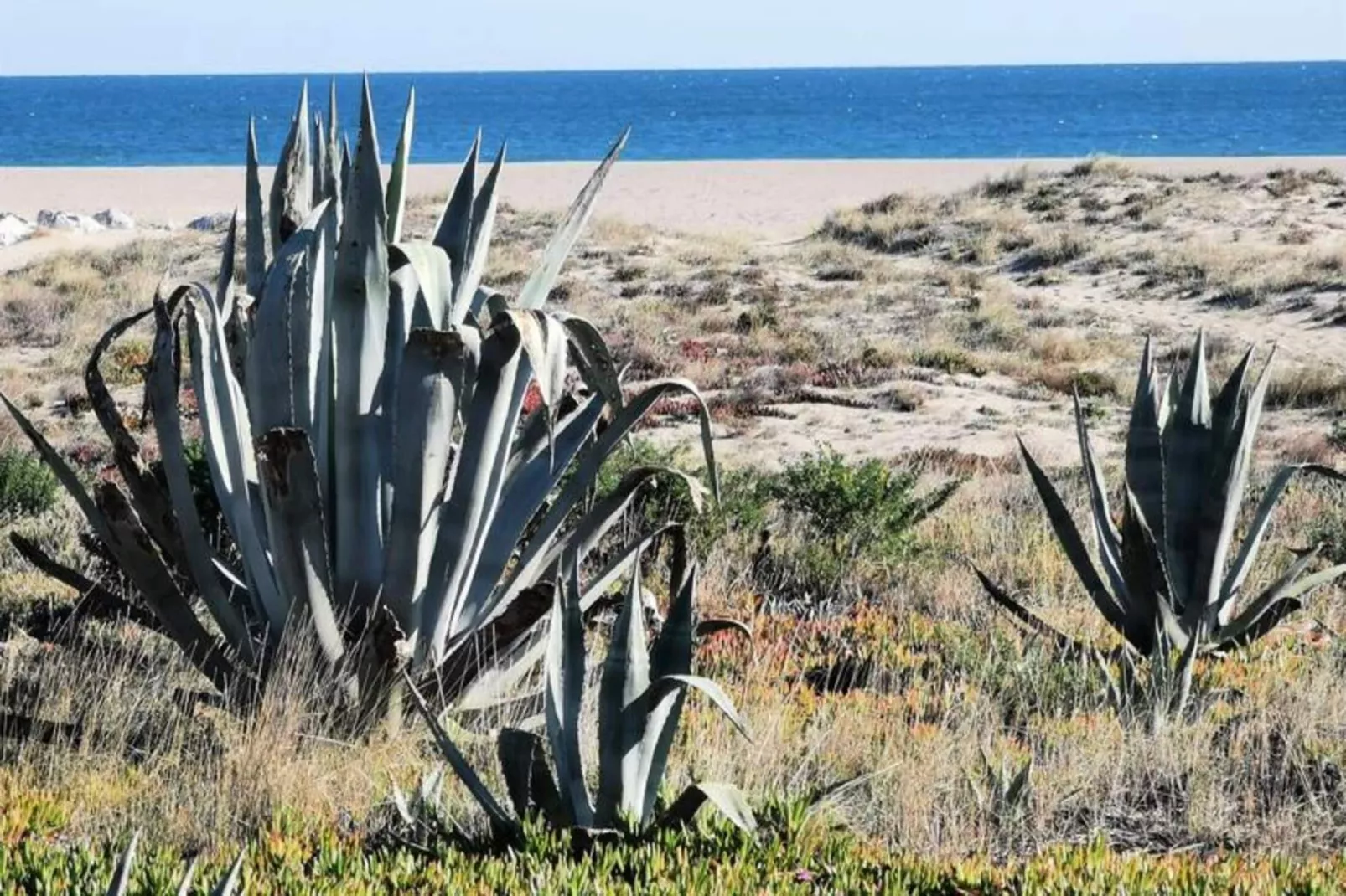 Résidence Maisons De La Mer 2-Gebieden zomer 20km